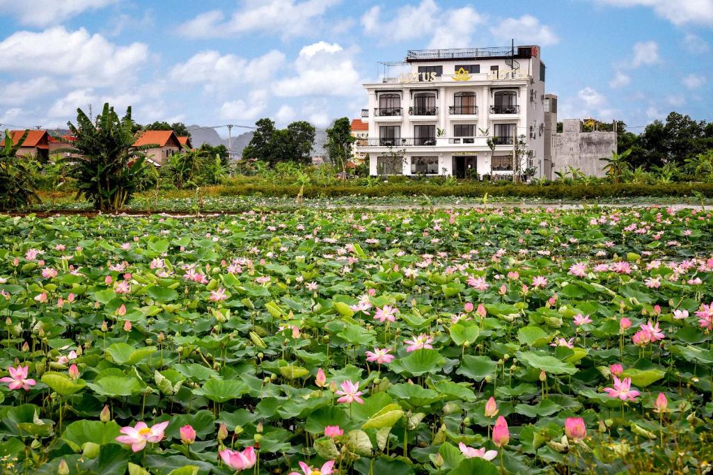 Lotus Hotel Ninh Bình