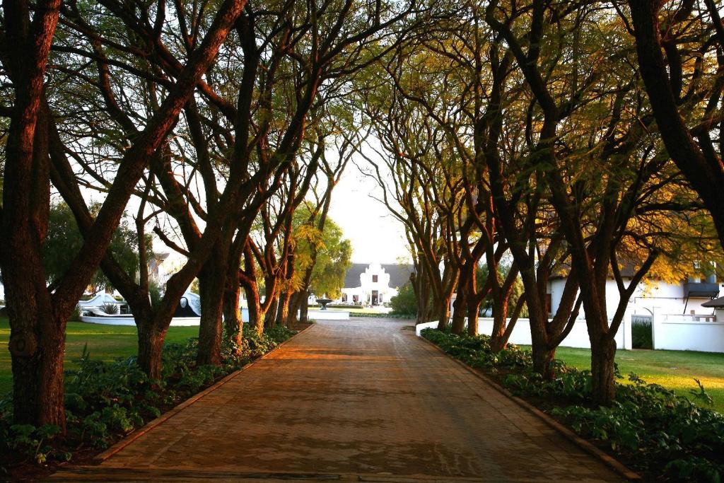 Kievits Kroon Gauteng Wine Estate