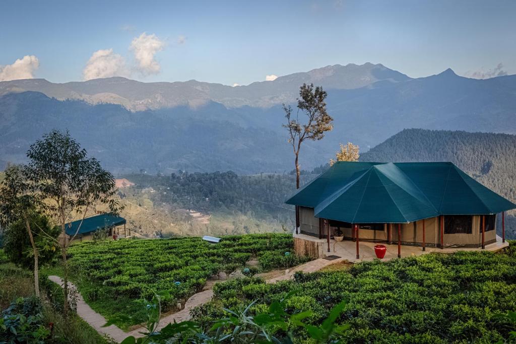 Madulkelle Tea and Eco Lodge