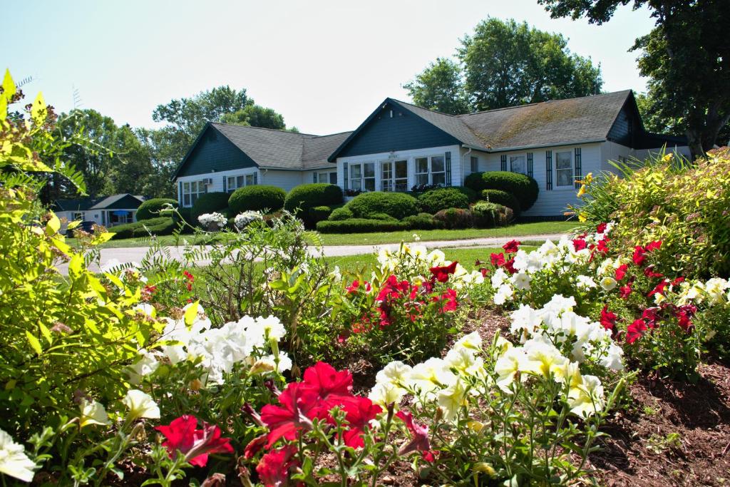 Lakeview Lodge and Cottages